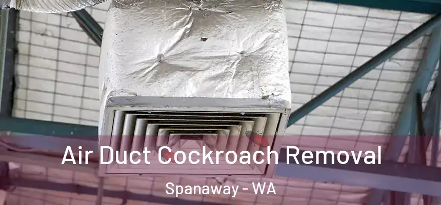  Air Duct Cockroach Removal Spanaway - WA