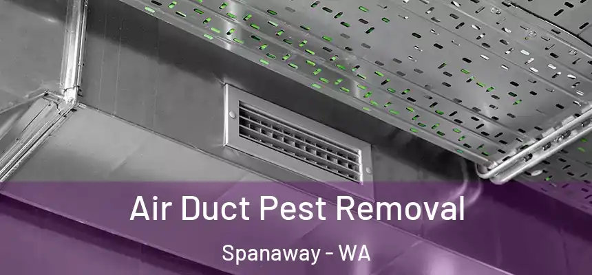  Air Duct Pest Removal Spanaway - WA