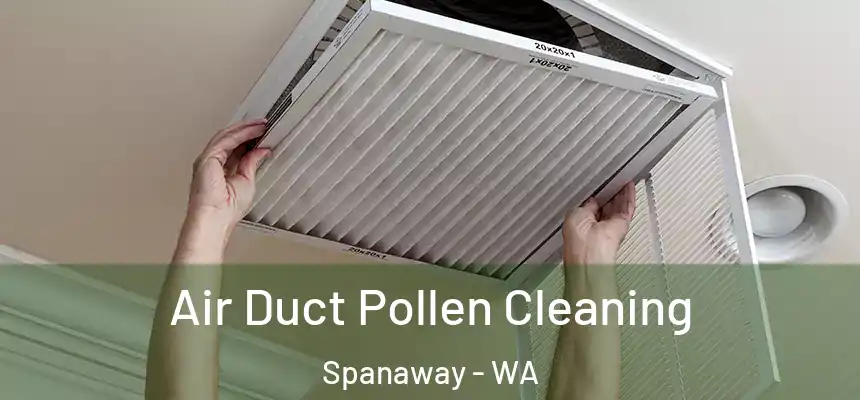  Air Duct Pollen Cleaning Spanaway - WA