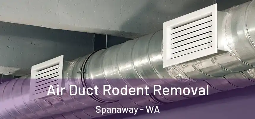  Air Duct Rodent Removal Spanaway - WA