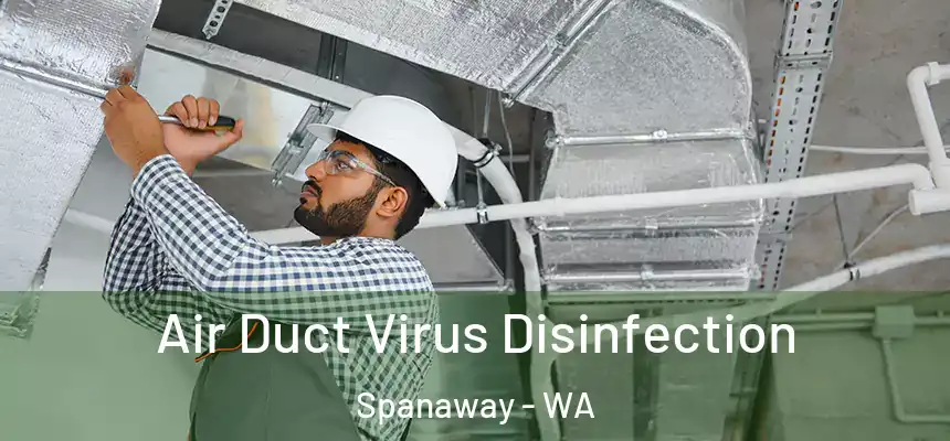  Air Duct Virus Disinfection Spanaway - WA