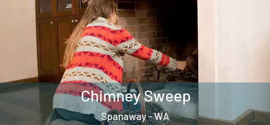 Chimney Sweep Spanaway - WA