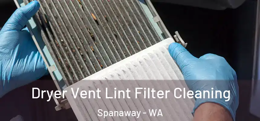  Dryer Vent Lint Filter Cleaning Spanaway - WA