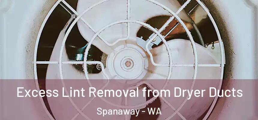  Excess Lint Removal from Dryer Ducts Spanaway - WA