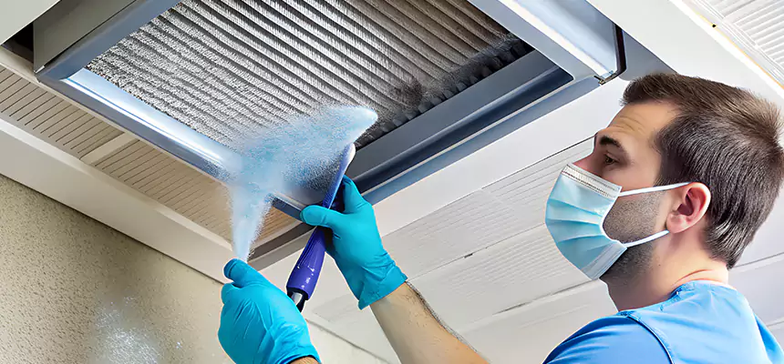 Proactive Dryer Vent & Auxiliary Duct Pollen Cleanup in Spanaway, WA