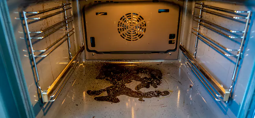 Our Dryer Vent Mold Cleaning Services in Spanaway, WA