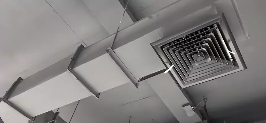 Our Pest Removal From Ducts Services in Spanaway, WA