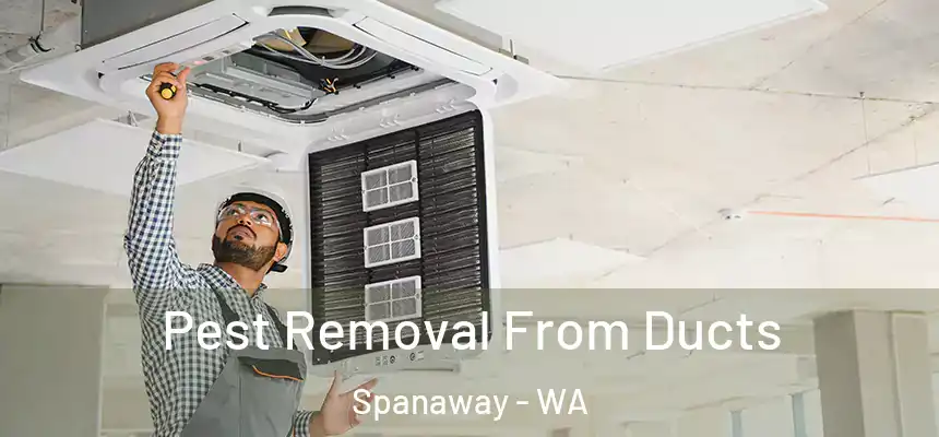  Pest Removal From Ducts Spanaway - WA