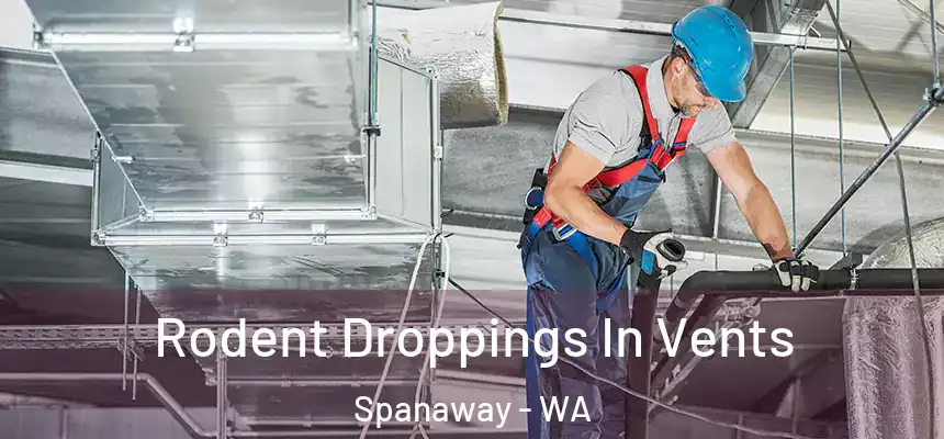  Rodent Droppings In Vents Spanaway - WA