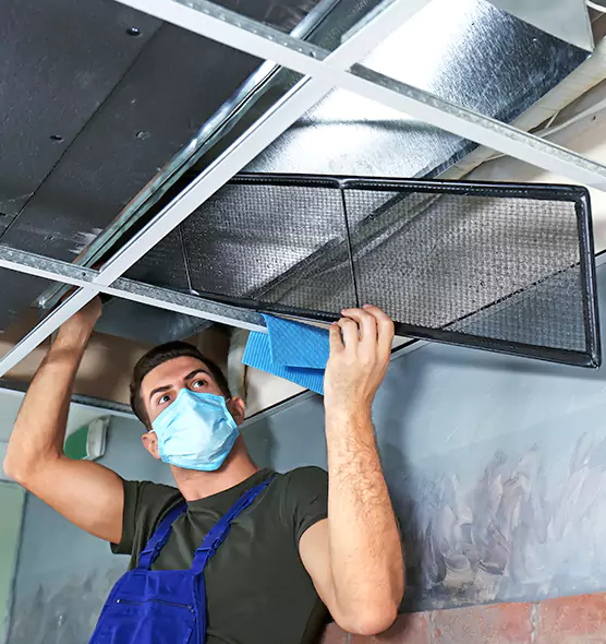 About Air Duct Bacteria Removal in Spanaway