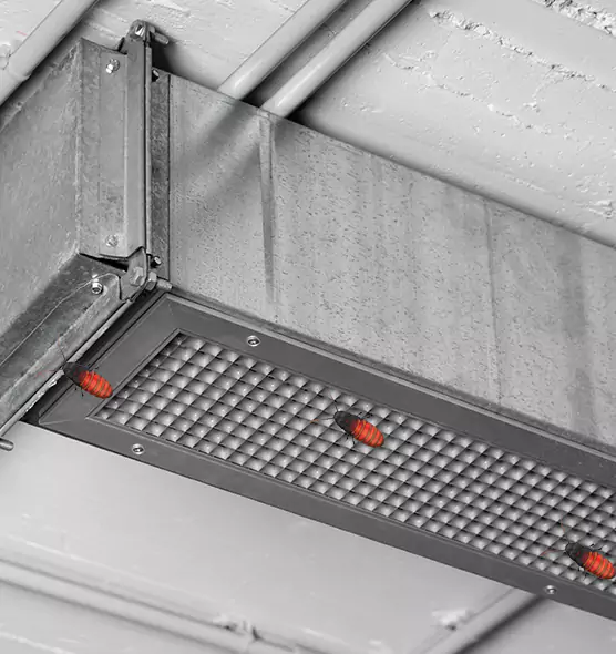 About Air Duct Cockroach Removal in Spanaway, WA