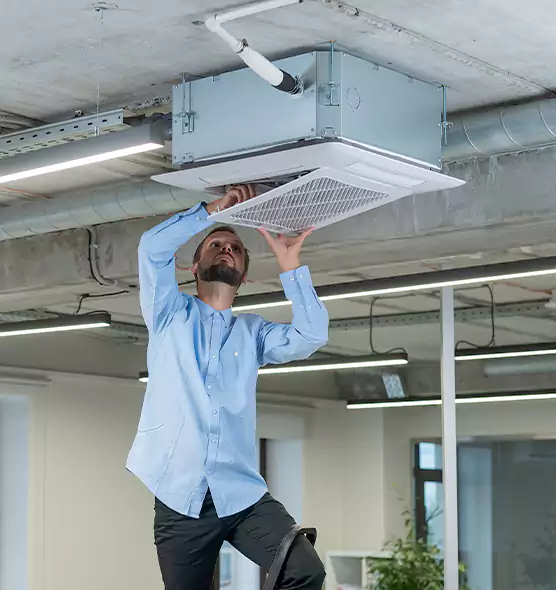Advanced Rodent Droppings In Vents in Spanaway, WA