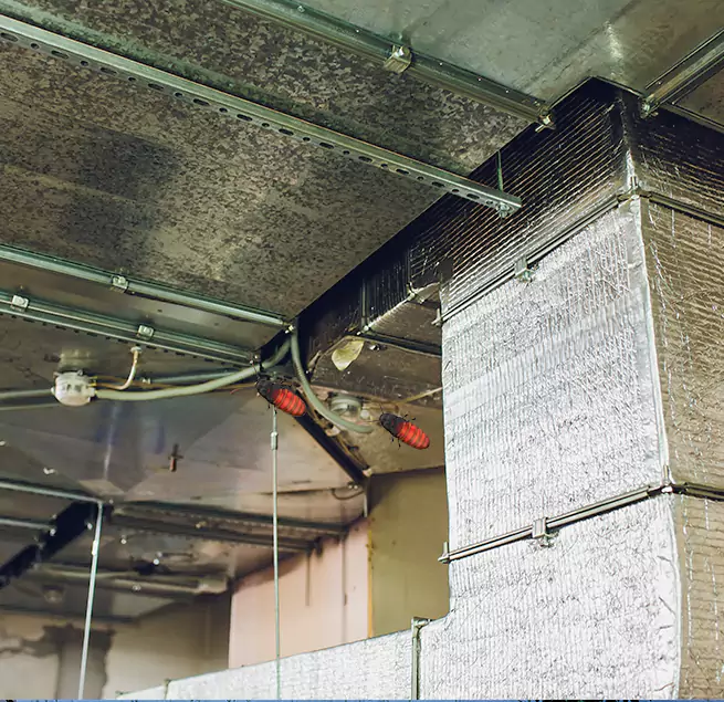 Why Homeowners & Businesses Trust Us in Spanaway, WA?