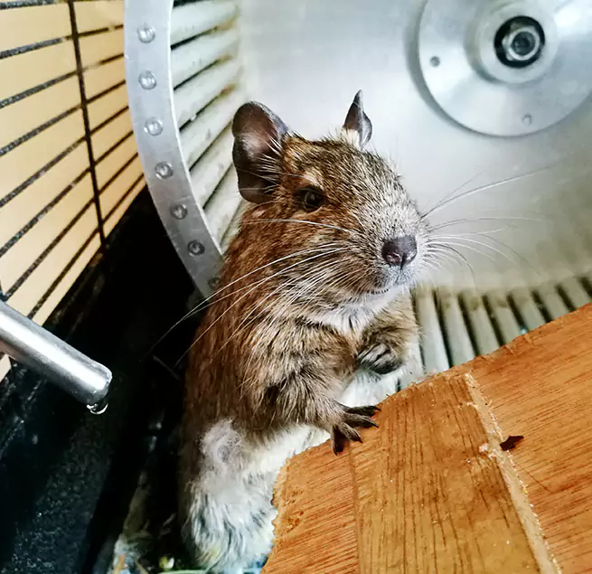 Why Homeowners & Businesses Trust Us Spanaway, WA