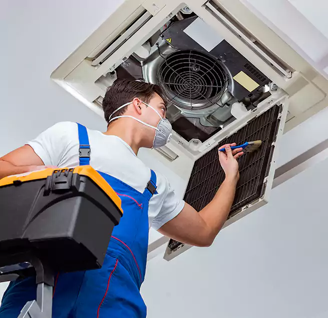 Why Homeowners & Businesses Trust Us in Spanaway, WA