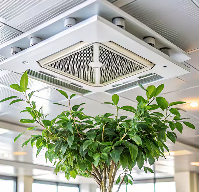 Why Homeowners & Businesses Trust Us in Spanaway, WA?