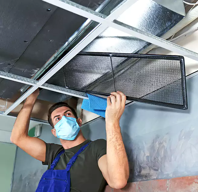 Why Homeowners Businesses Trust Us in Spanaway, WA